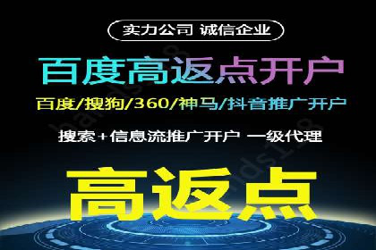 探索专业SEM托管的奥秘：从案例看效果