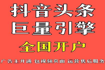 竞价广告在XX行业的成功应用案例